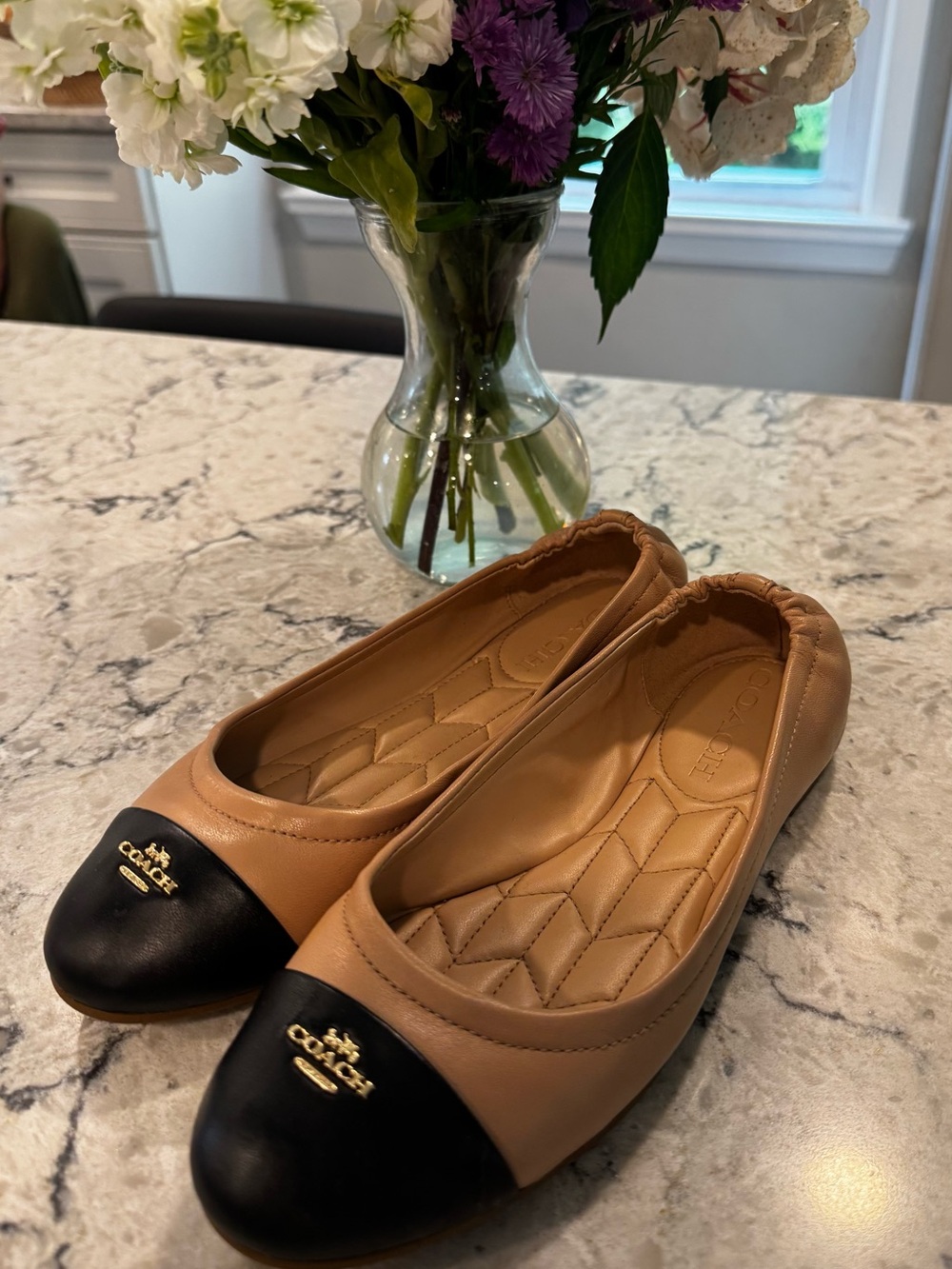 COACH BONNIE LTR BALLET NUDE PINK/BLACK Size 5.5 B